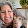 House sit pet parent - Explore Vannes, France with Barrett the Vizsla and enjoy the port and markets!