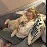 House sit pet parent - Lovely home in Twyford, Berkshire. Golden Retriever + 2 cats.  Xmas & New Year