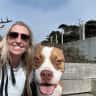 House sit pet parent - Taco sitter in NorCal (Castro Valley)