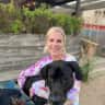 House sit pet parent - Cuddly, low maintenance Great Dane in a Brand New Home