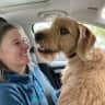 House sit pet parent - Devon pet sitter for 2 weeks in February