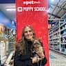 House sit pet parent - Everything at your doorstep while puppy sitting a beautiful chocolate Yorkie