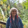 House sit pet parent - Good natured mature female collie in a village in Central Scottish Highlands