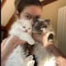 House sit pet parent - Pip’s a Chuck …. 2 lovely cats !