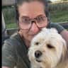 House sit pet parent - Lovable Wilbur looking for cuddles in Leafy Upminster