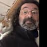 House sit pet parent - Pet sitter(s) needed for four cats on Crete