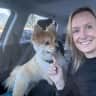 House sit pet parent - Beautiful Apartment in Squamish with a very sweet Dog