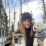 House sit pet parent - Beautiful Colorado Cabin and Caring For Sweet Shiba/Shepherd