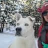 House sit pet parent - Pet sitting in your home - Milton