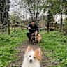 House sit pet parent - Bespoke self-build countryside home near Bath, Cotswolds and surrounding areas