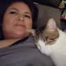 House sit pet parent - My sweet & funny male kitties in Vancouver BC are looking for a catsitter