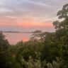 House sit pet parent - OFF-GRID, BOAT-ACCESS-ONLY on mainland Dolphin Bay, Bocas del Toro, Panama.