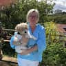 House sit pet parent - Dog and House sitter needed for mid June to mid July 2026 Paddington, Sydney