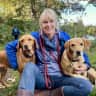 House sit pet parent - Peaceful New Forest cottage close to Lymington - dogsitter required