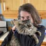 House sit pet parent - One week in gorgeous Telluride, Colorado with Felix the cat! October 2-10, 2026