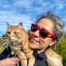 House sit pet parent - Enjoy Rome with sweet Roma, a playful orange cat, in a cozy and comfortable home