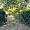 House sit pet parent - Super secluded rural woodland 3 bed house on Surrey / Kent borders+ 4 cats