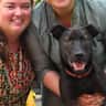 House sit pet parent - Chai, the lab terrier mix! Fur baby seeking a friend to play and cuddle with.