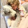 House sit pet parent - Seeking house sitter to look after lovable dog