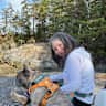 House sit pet parent - Frenchie on the Sunshine Coast (Car Recommended)