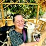 House sit pet parent - 2 northern Thai rescue dogswanting some holiday love
