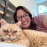 House sit pet parent - Lively Young Cat Needs Loving Sitter – Come Experience Los Angeles