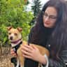 House sit pet parent - Sitter needed for a small dog in 3 bed flat in Brixton Hill/ Clapham area