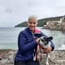 House sit pet parent - Older Frenchie in Cornwall’s Forgotten Corner