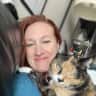 House sit pet parent - Sweet senior cat in Toronto needs company