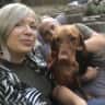 House sit pet parent - Care for our two highly affectionate dogs in our home in sunny Bournemouth.