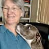 House sit pet parent - Weeks vacation on the Gold Coast