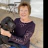 House sit pet parent - House and Dog sit needed in well located, residential Santa Fe NM neighborhood