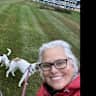 House sit pet parent - Irondequoit NY near the lake, 2 friendly dogs