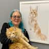 House sit pet parent - Lovely house in quiet, leafy Lauraville, with gorgeous 4 year old Maine Coon.