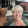 House sit pet parent - Pet/House sitter required for two dogs on acreage estate near Brisbane