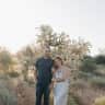 House sit pet parent - Quiet retreat in Flagstaff with a loving dog