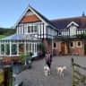 House sit pet parent - Two friendly Cockapoos in quiet Devon Home