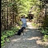 House sit pet parent - North Shore Garden Hideaway