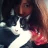 House sit pet parent - Sweet cat looking for cuddly sitter!