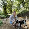 House sit pet parent - Sitter required for a friendly older spaniel in a lovely location.
