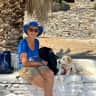 House sit pet parent - Responsible housesitter needed for my sweet dog and 2 cats