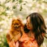 House sit pet parent - Dog sitter required for Pomeranian in beautiful city of Edinburgh