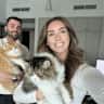 House sit pet parent - Pet Sitter Needed for our cats Lou & Leo in Dubai Marina!