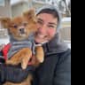 House sit pet parent - Lover of small dogs wanted for my sweet furr-ball!