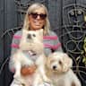 House sit pet parent - My 3 dogs needs a loving and caring person to take care of them from 6/11-17/11.