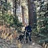 House sit pet parent - Black Butte Ranch resort community living with two big mutts