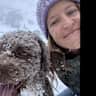 House sit pet parent - Dogsitting a Lagotto in Paquis, Geneva!