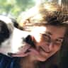 House sit pet parent - Super loving dog wants attention in his comfy home