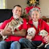 House sit pet parent - Sitter Needed for 2 Dogs in San Francisco