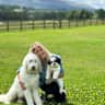 House sit pet parent - Pet Sit on a beautiful Estate on the edge of the Yorkshire dales.